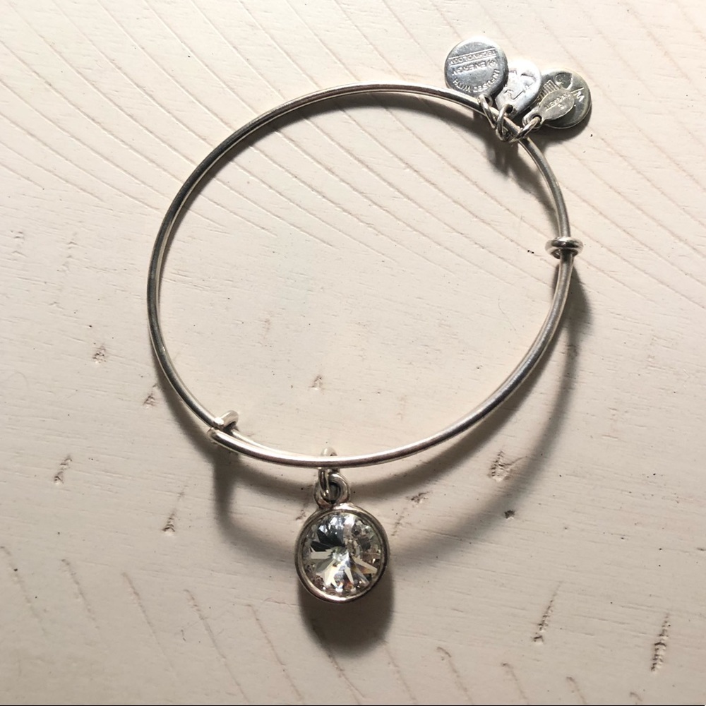Alex And Ani Clear Crystal Charm Bangle